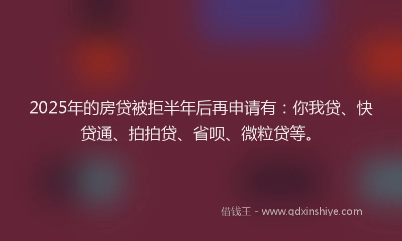 2025年的房贷被拒半年后再申请有:你我贷、快贷通、拍拍贷、省呗、微粒贷等。