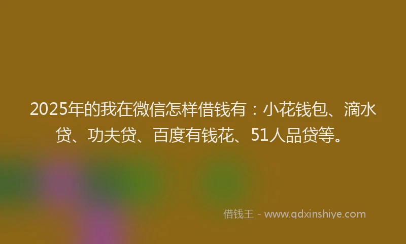 2025年的我在微信怎样借钱有：小花钱包、滴水贷、功夫贷、百度有钱花、51人品贷等。