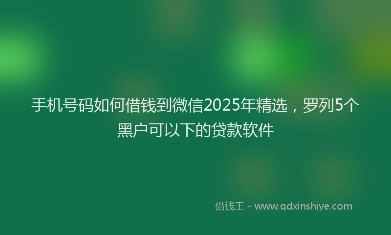 手机号码如何借钱到微信2025年精选，罗列5个黑户可以下的贷款软件