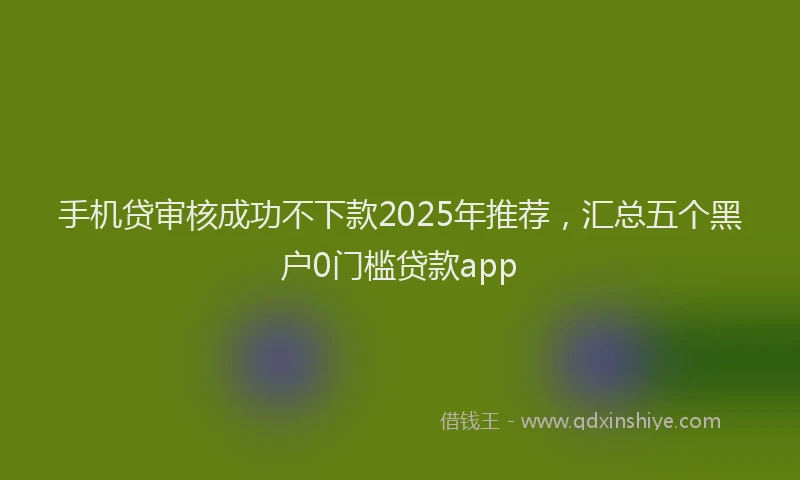 手机贷审核成功不下款2025年推荐，汇总五个黑户0门槛贷款app