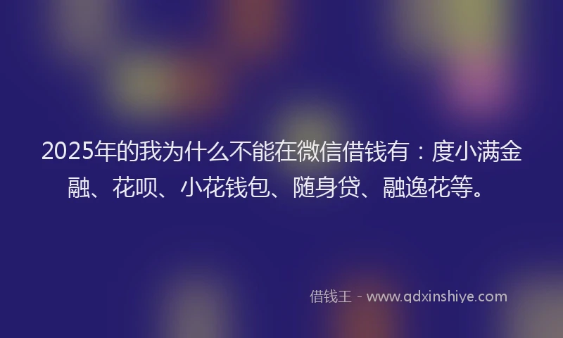 2025年的我为什么不能在微信借钱有：度小满金融、花呗、小花钱包、随身贷、融逸花等。
