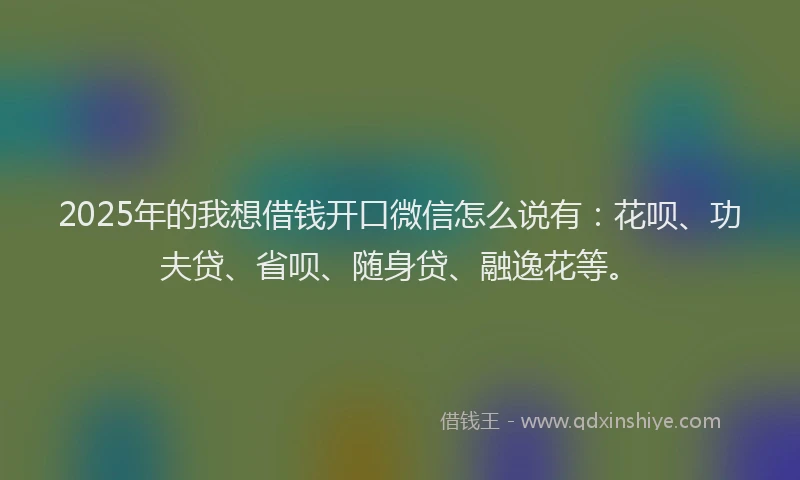2025年的我想借钱开口微信怎么说有：花呗、功夫贷、省呗、随身贷、融逸花等。