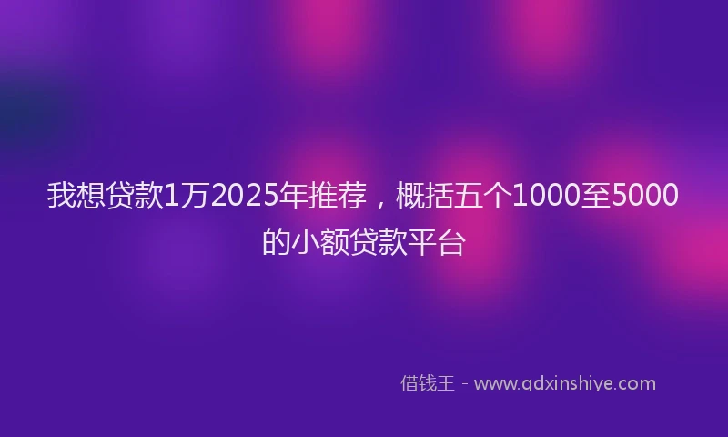我想贷款1万2025年推荐，概括五个1000至5000的小额贷款平台
