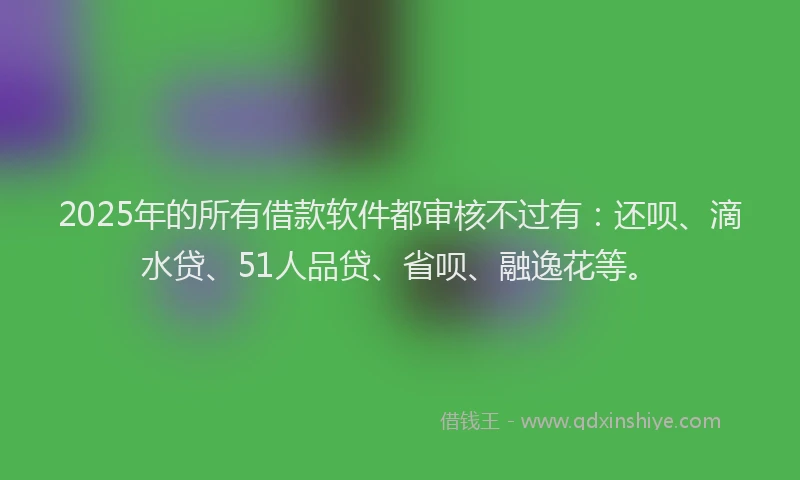 2025年的所有借款软件都审核不过有：还呗、滴水贷、51人品贷、省呗、融逸花等。