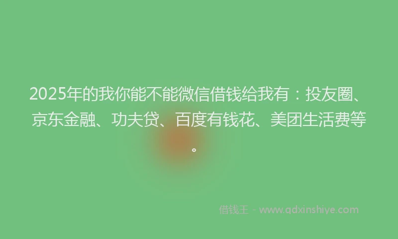 2025年的我你能不能微信借钱给我有：投友圈、京东金融、功夫贷、百度有钱花、美团生活费等。