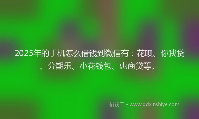 2025年的手机怎么借钱到微信有：花呗、你我贷、分期乐、小花钱包、惠商贷等。