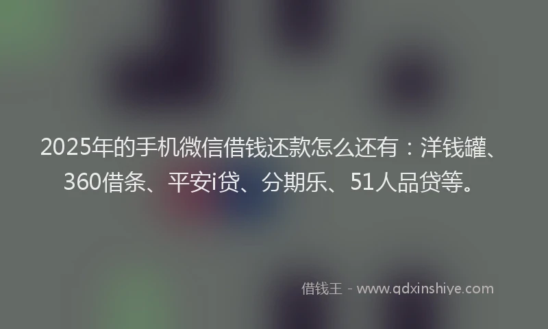 2025年的手机微信借钱还款怎么还有：洋钱罐、360借条、平安i贷、分期乐、51人品贷等。