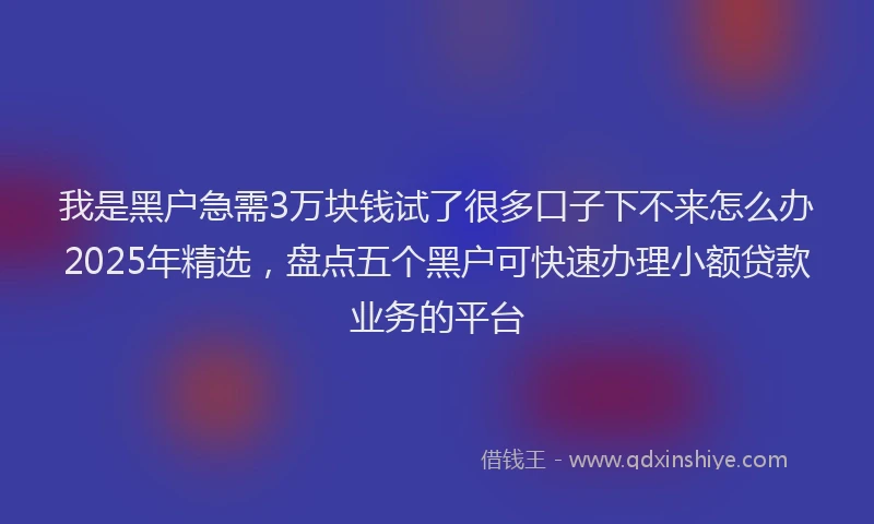 我是黑户急需3万块钱试了很多口子下不来怎么办2025年精选，盘点五个黑户可快速办理小额贷款业务的平台