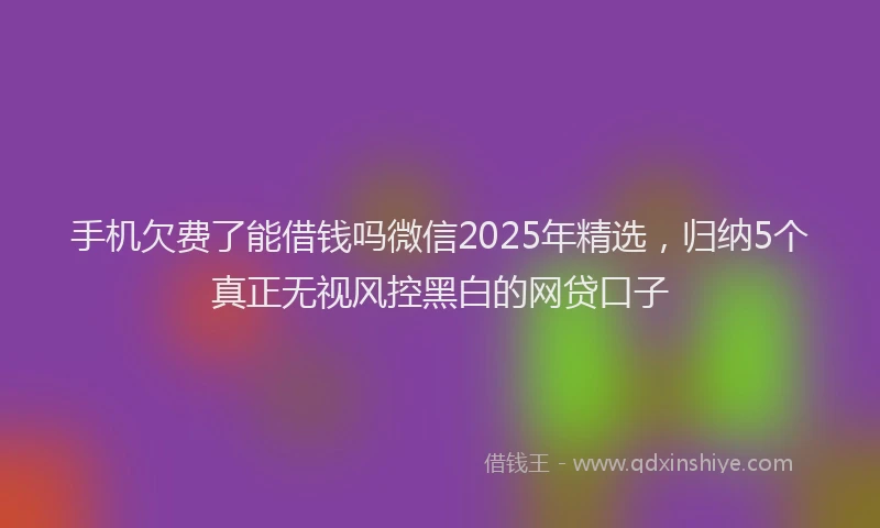 手机欠费了能借钱吗微信2025年精选，归纳5个真正无视风控黑白的网贷口子