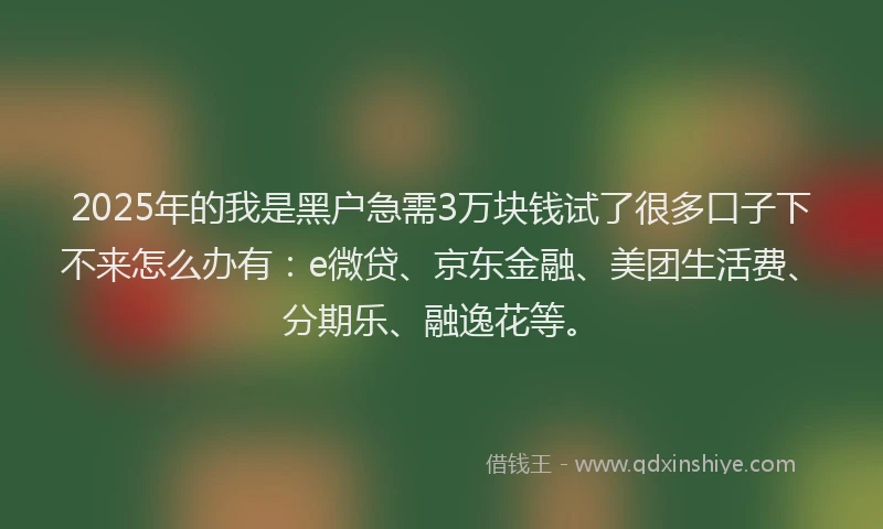2025年的我是黑户急需3万块钱试了很多口子下不来怎么办有：e微贷、京东金融、美团生活费、分期乐、融逸花等。