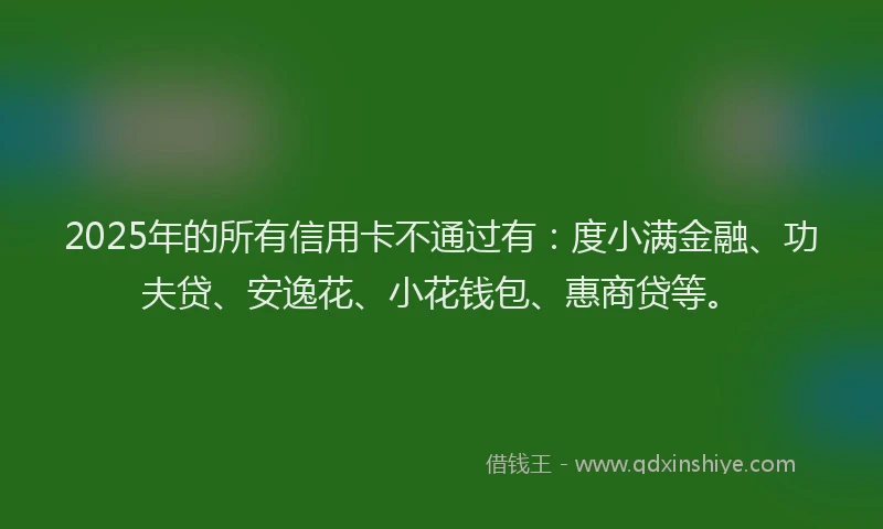 2025年的所有信用卡不通过有：度小满金融、功夫贷、安逸花、小花钱包、惠商贷等。