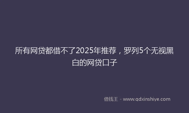 所有网贷都借不了2025年推荐，罗列5个无视黑白的网贷口子