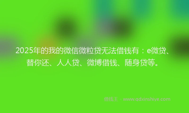 2025年的我的微信微粒贷无法借钱有：e微贷、替你还、人人贷、微博借钱、随身贷等。