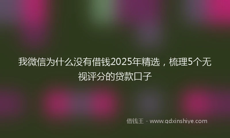 我微信为什么没有借钱2025年精选，梳理5个无视评分的贷款口子