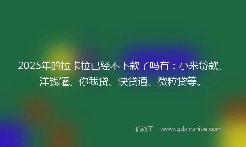 2025年的拉卡拉已经不下款了吗有：小米贷款、洋钱罐、你我贷、快贷通、微粒贷等。