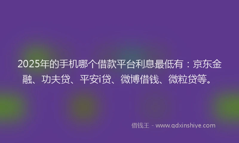 2025年的手机哪个借款平台利息最低有：京东金融、功夫贷、平安i贷、微博借钱、微粒贷等。