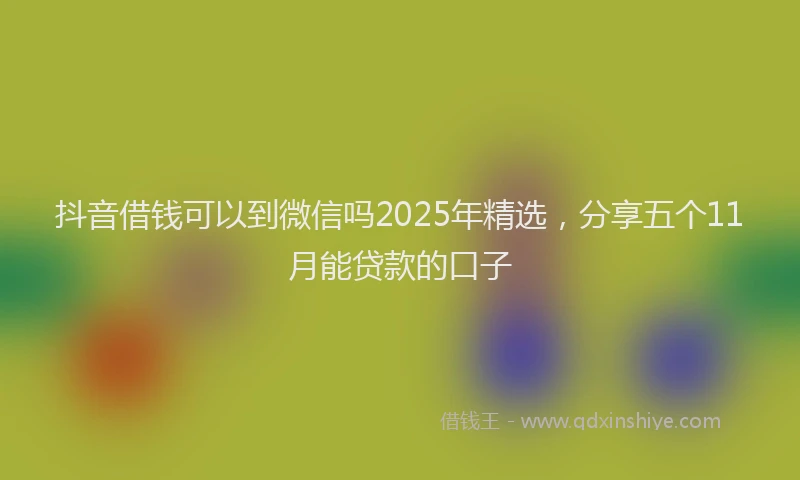 抖音借钱可以到微信吗2025年精选，分享五个11月能贷款的口子