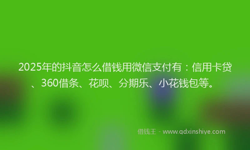 2025年的抖音怎么借钱用微信支付有：信用卡贷、360借条、花呗、分期乐、小花钱包等。