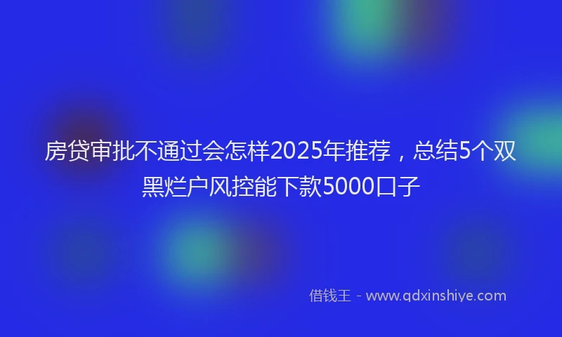 房贷审批不通过会怎样2025年推荐，总结5个双黑烂户风控能下款5000口子