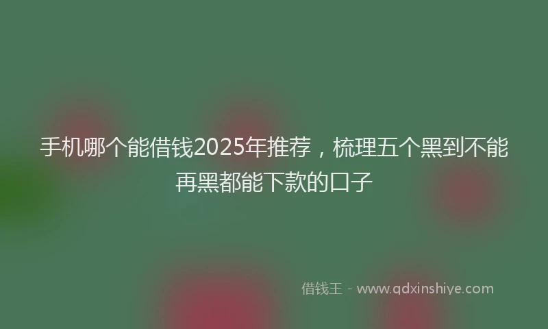 手机哪个能借钱2025年推荐，梳理五个黑到不能再黑都能下款的口子