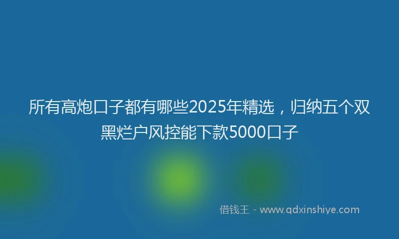 所有高炮口子都有哪些2025年精选，归纳五个双黑烂户风控能下款5000口子