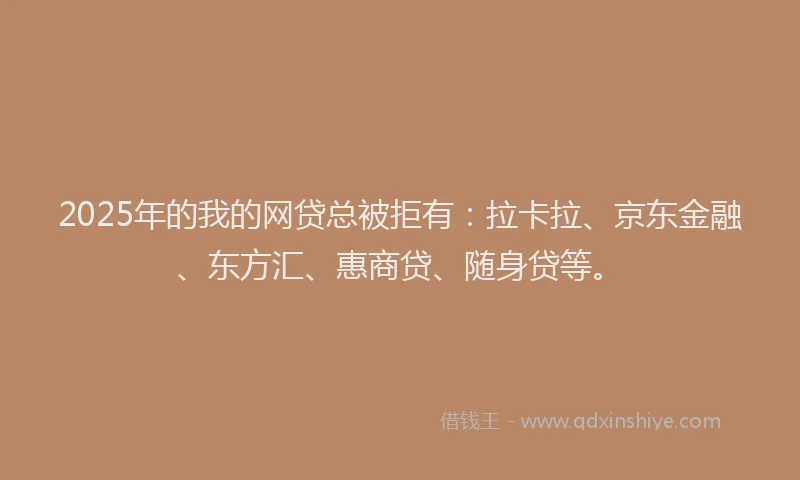 2025年的我的网贷总被拒有：拉卡拉、京东金融、东方汇、惠商贷、随身贷等。
