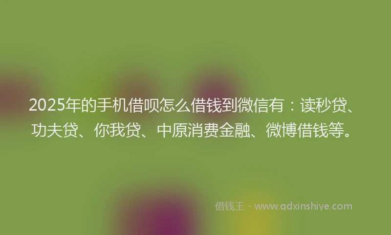 2025年的手机借呗怎么借钱到微信有：读秒贷、功夫贷、你我贷、中原消费金融、微博借钱等。