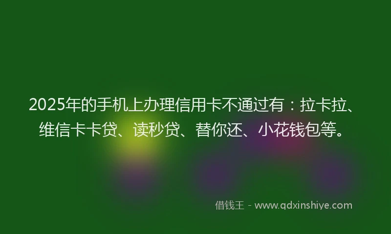 2025年的手机上办理信用卡不通过有：拉卡拉、维信卡卡贷、读秒贷、替你还、小花钱包等。