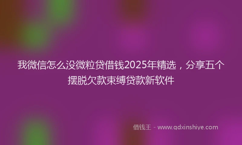 我微信怎么没微粒贷借钱2025年精选，分享五个摆脱欠款束缚贷款新软件