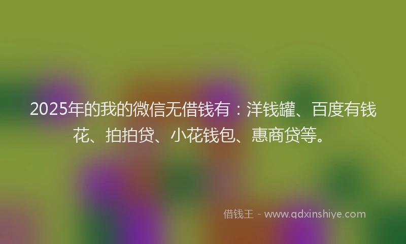 2025年的我的微信无借钱有：洋钱罐、百度有钱花、拍拍贷、小花钱包、惠商贷等。