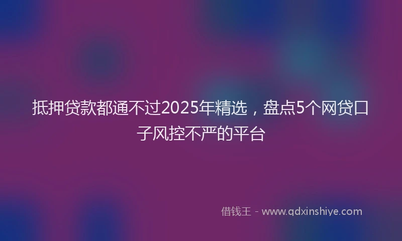 抵押贷款都通不过2025年精选，盘点5个网贷口子风控不严的平台