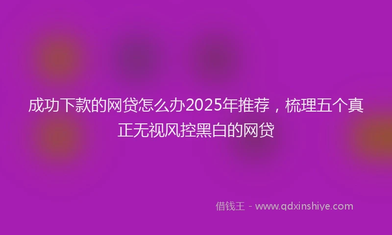 成功下款的网贷怎么办2025年推荐，梳理五个真正无视风控黑白的网贷