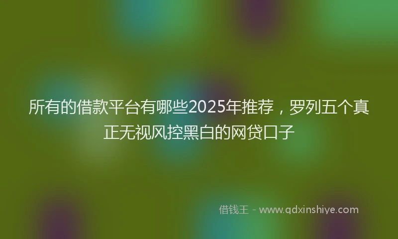 所有的借款平台有哪些2025年推荐，罗列五个真正无视风控黑白的网贷口子