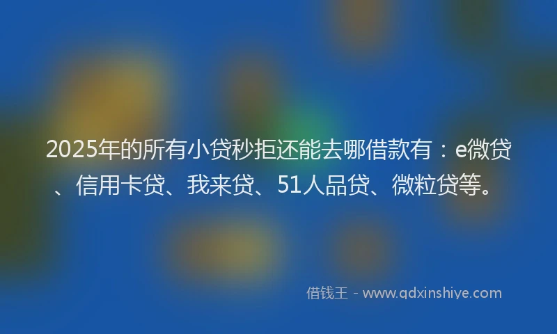 2025年的所有小贷秒拒还能去哪借款有：e微贷、信用卡贷、我来贷、51人品贷、微粒贷等。
