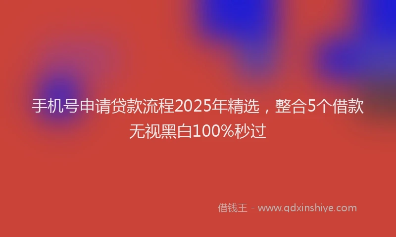 手机号申请贷款流程2025年精选，整合5个借款无视黑白100%秒过