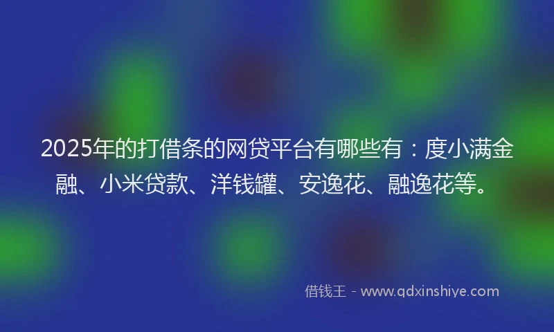 2025年的打借条的网贷平台有哪些有：度小满金融、小米贷款、洋钱罐、安逸花、融逸花等。