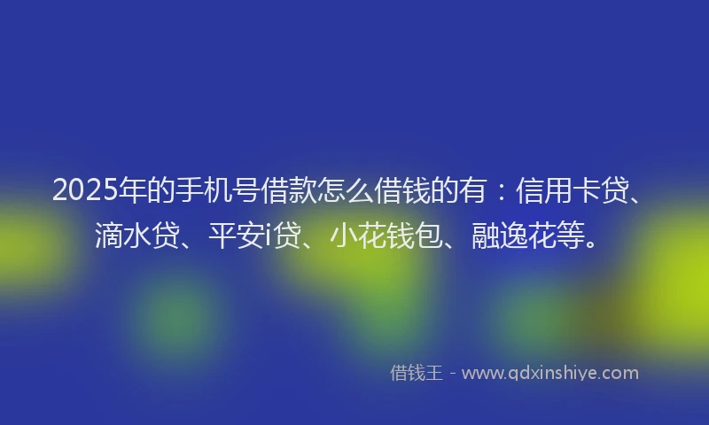 2025年的手机号借款怎么借钱的有：信用卡贷、滴水贷、平安i贷、小花钱包、融逸花等。