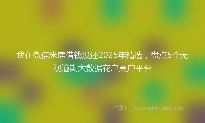 我在微信米房借钱没还2025年精选，盘点5个无视逾期大数据花户黑户平台
