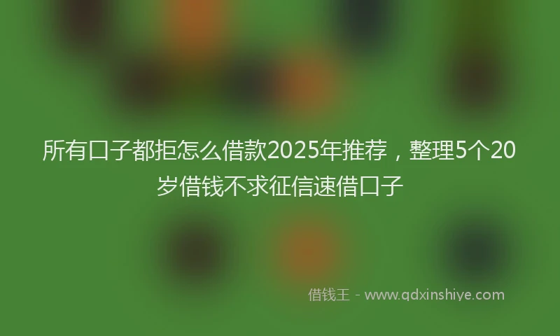所有口子都拒怎么借款2025年推荐，整理5个20岁借钱不求征信速借口子
