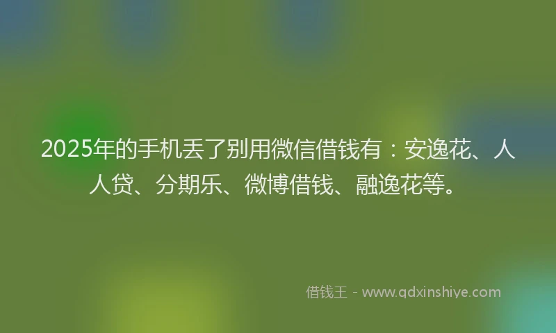2025年的手机丢了别用微信借钱有：安逸花、人人贷、分期乐、微博借钱、融逸花等。