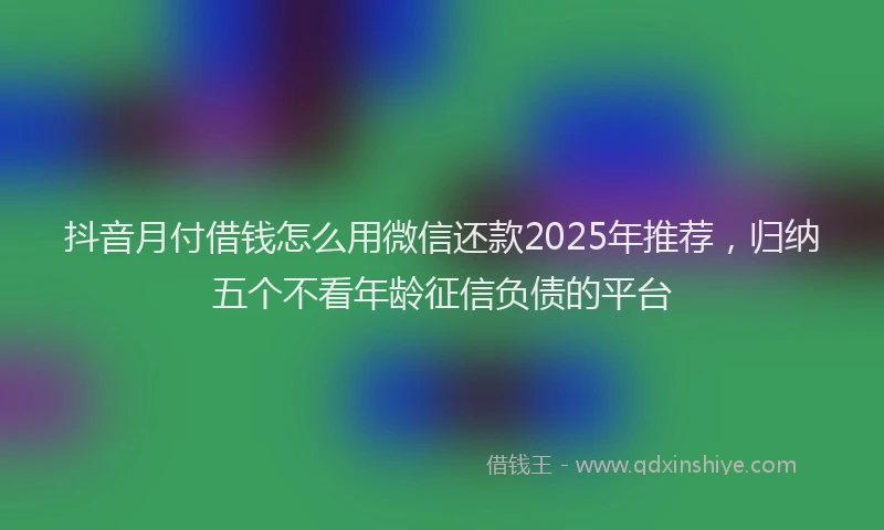 抖音月付借钱怎么用微信还款2025年推荐，归纳五个不看年龄征信负债的平台