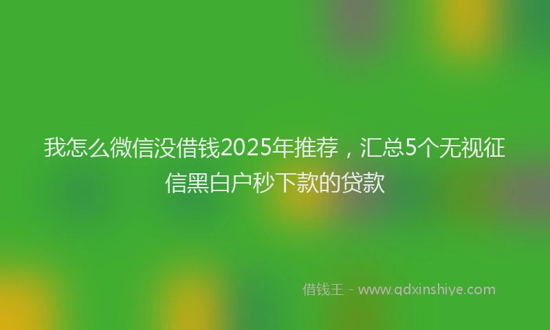 我怎么微信没借钱2025年推荐，汇总5个无视征信黑白户秒下款的贷款