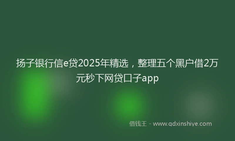 扬子银行信e贷2025年精选，整理五个黑户借2万元秒下网贷口子app
