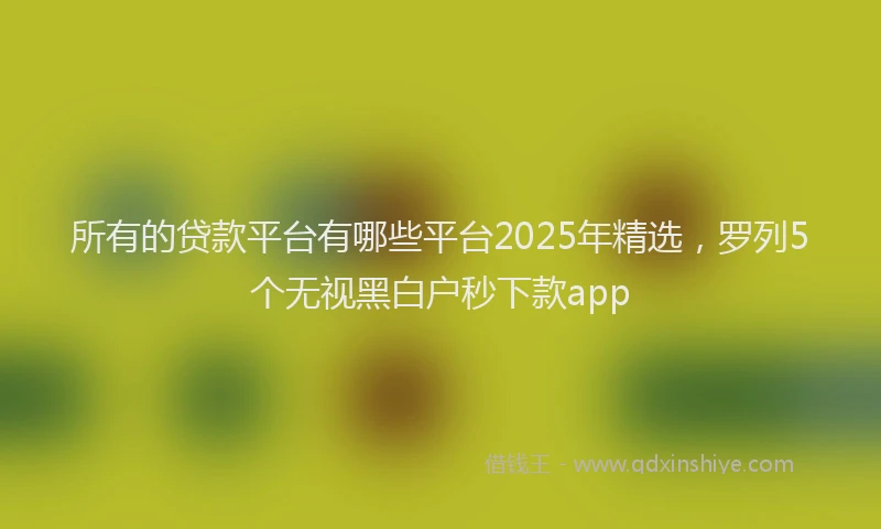 所有的贷款平台有哪些平台2025年精选，罗列5个无视黑白户秒下款app