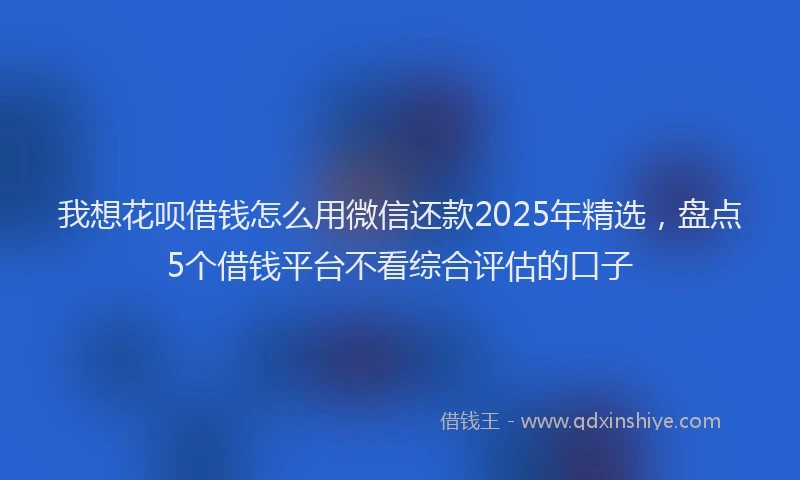 我想花呗借钱怎么用微信还款2025年精选，盘点5个借钱平台不看综合评估的口子