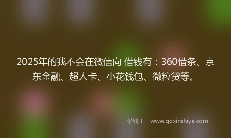 2025年的我不会在微信向 借钱有：360借条、京东金融、超人卡、小花钱包、微粒贷等。