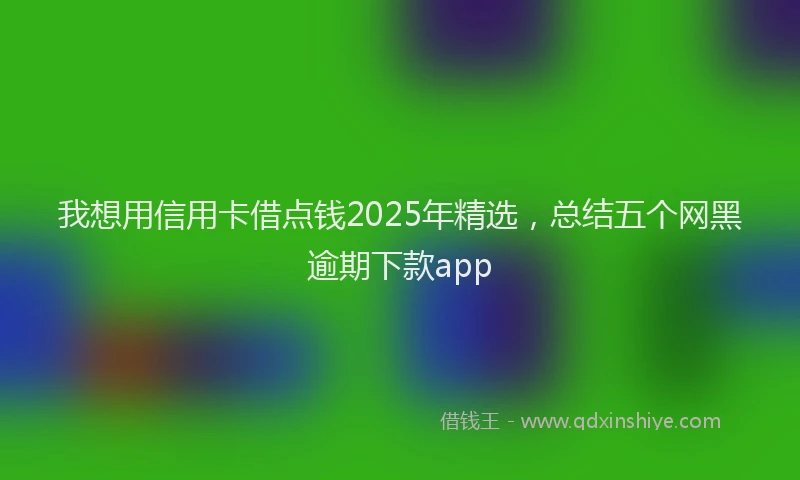 我想用信用卡借点钱2025年精选，总结五个网黑逾期下款app