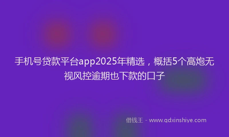 手机号贷款平台app2025年精选，概括5个高炮无视风控逾期也下款的口子