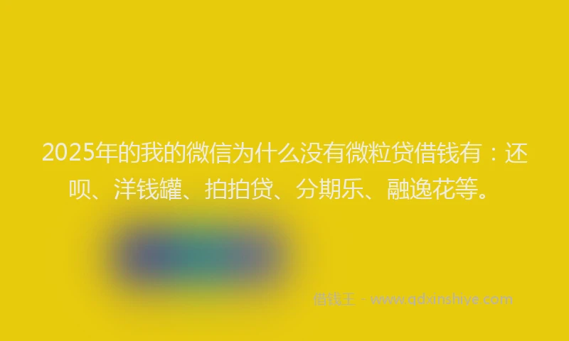 2025年的我的微信为什么没有微粒贷借钱有：还呗、洋钱罐、拍拍贷、分期乐、融逸花等。