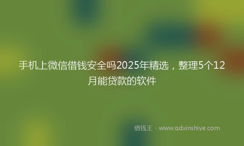 手机上微信借钱安全吗2025年精选，整理5个12月能贷款的软件